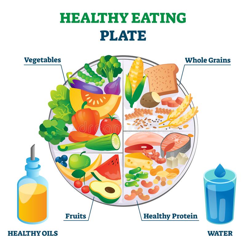 healthy eating plate vector illustration labeled educational food example scheme vegetables whole grains fruit protein as 185358717
